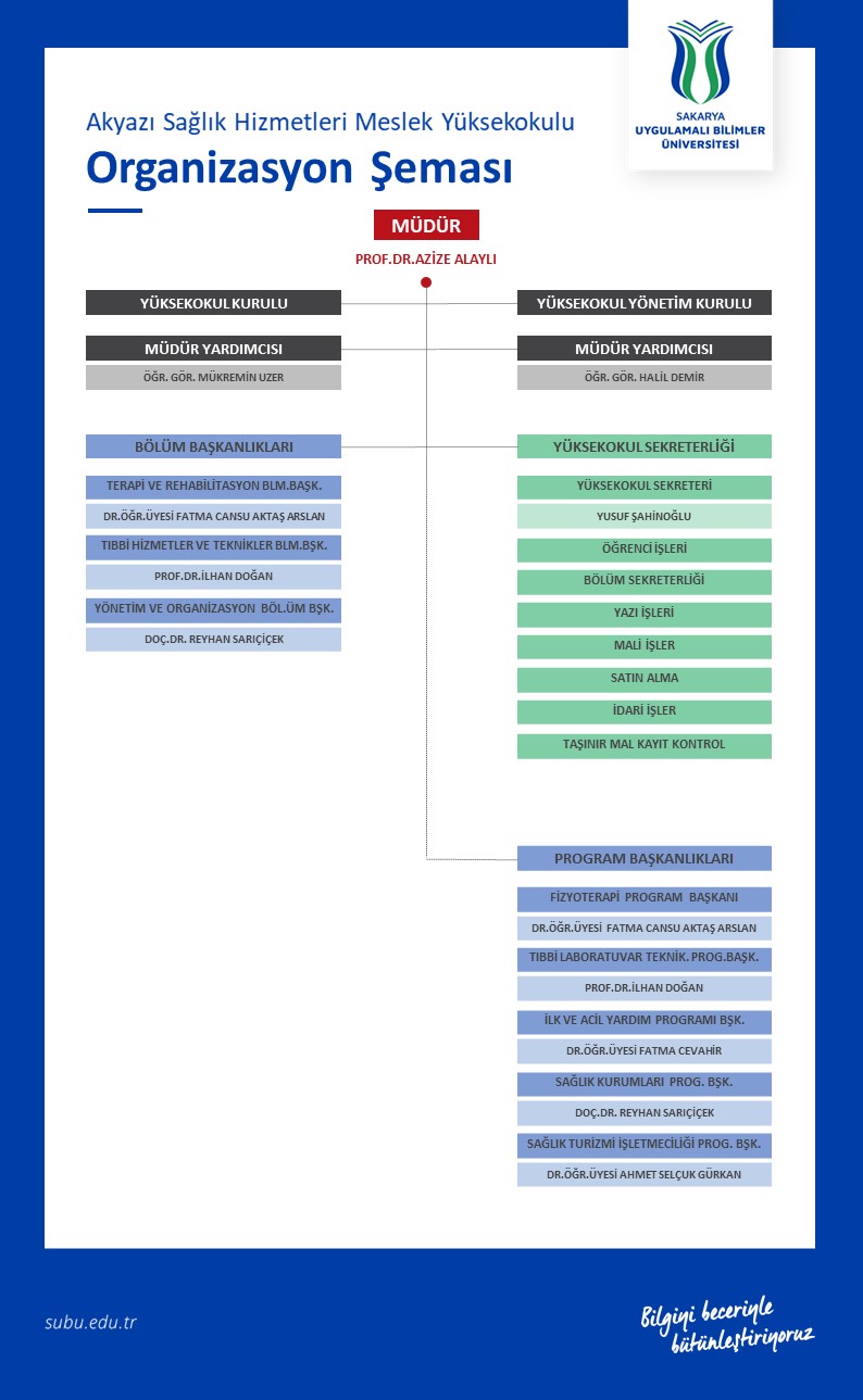 organizasyon şeması